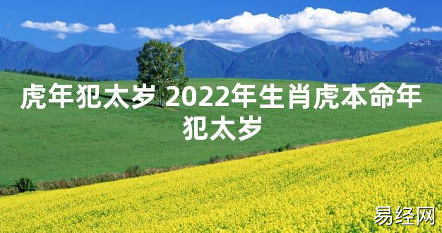 【太岁知识】虎年犯太岁 2024年生肖虎本命年犯太岁,最新太岁